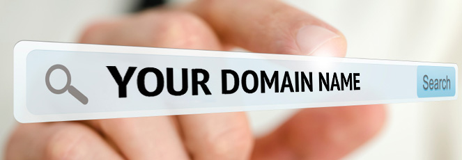 Domain Name Registration